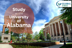 Study-at-the-University-of-Alabama-3X2